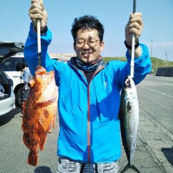 ジギング釣り果